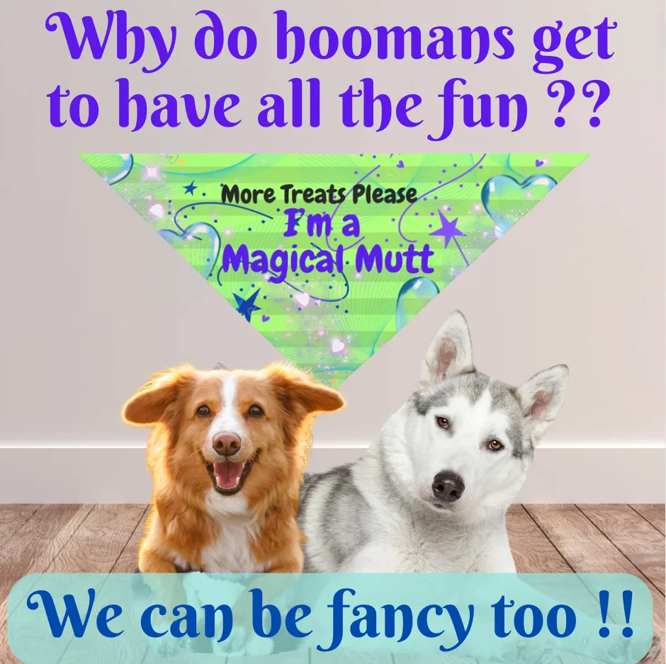Bright Neon Green Pet Bandana with Fun "I'm a Magical Mutt" Design, Doggy Daycare and Special Occasion Pet Accessory, Pet Lover Dog Mom Gift