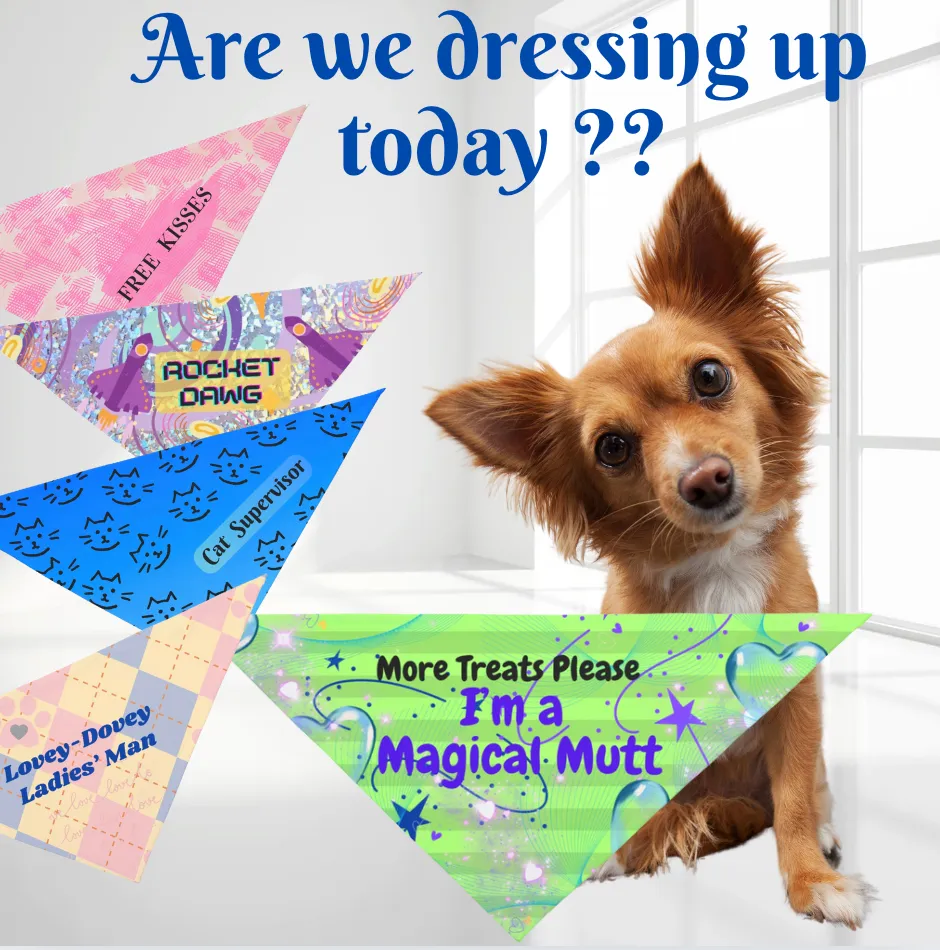 Bright Neon Green Pet Bandana with Fun "I'm a Magical Mutt" Design, Doggy Daycare and Special Occasion Pet Accessory, Pet Lover Dog Mom Gift