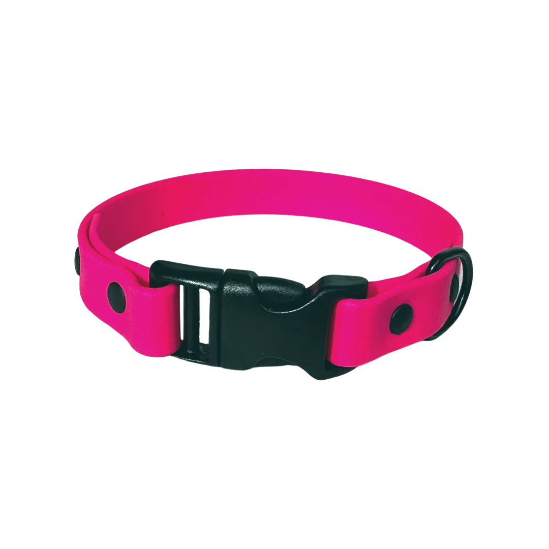 EverMore Biothane™  5/8" Collar