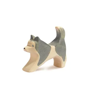 Sled Dog - Running