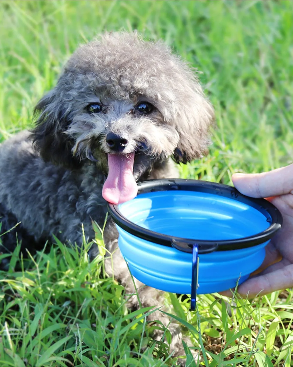 Travel Silicone Bowl Portable Foldable Collapsible Pet Bowl