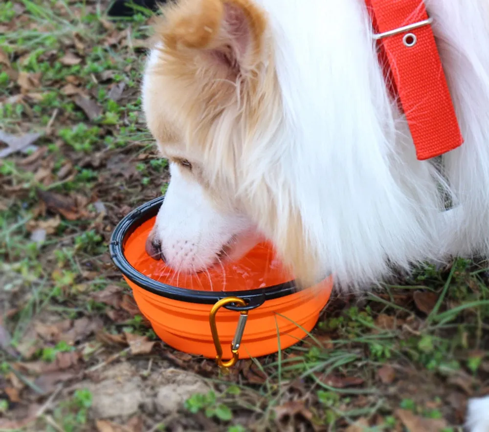 Travel Silicone Bowl Portable Foldable Collapsible Pet Bowl